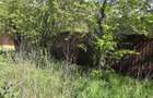 Teren agricol intravilan de 2050 mp, în Valea Măcrișului - 3