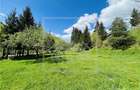 Complex turistic complet functional-zona Raul Sadului-afacere la cheie - 11