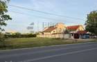 Teren 600 mp de vanzare in Paleu | Str. Principala - 8