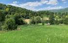 Vand teren intravilan in apropierea Manastirii Diaconesti - 2