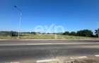 Teren intravilan premium 15.000 mp la DN61 langa Centura Gaesti acces - 13