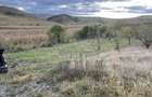 PF Vand teren Sat Pata comuna Apahida 833mp + 150mp drum acces