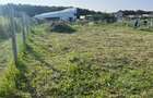 Teren zona premium, Padurea Verde - 1