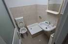 Spatiu comercial Ostroveni - 5