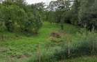Vand teren intravilan 1678 mp