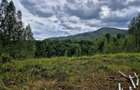 Natura/ Cabana de weekend/liniste, relaxare la Sinca Noua Brasov - 6