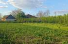 Casa de vanzare Graniceri cu teren generos 4500mp - 2
