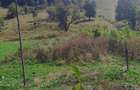 Casa de vanzare + teren in sat poieni , comuna densus , judet HD - 7