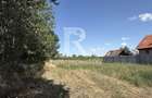Teren de vanzare | 2600 mp | Gurbediu | Bihor - 3