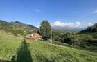 De Vanzare: Teren Panoramic de 12.009 mp la Drumul Principal in Magura (Moeciu) Ideal Complex Turistic / Pensiune / Cabane - 7