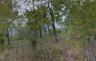 Teren intravilan 4.167 mp | 44 m deschidere | Utilități | Comarnic – Poiana |  - 4