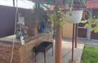 Proprietate cu doua imobile, com Dragutesti. Comision 0% - 16