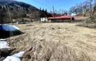 Casa de vacanta sau locuinta in Apuseni | 3300 mp teren | Avram Iancu - 1