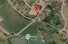 Teren cu pomi fructiferi , vie si loc de casa - 3