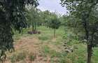 Vand teren intravilan - 7