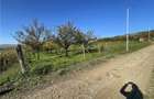 Vand teren situat pe Str. Livezii, Aiudul de Sus - 3