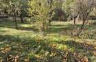 Teren de 6800 mp, în Berislăvești - 7