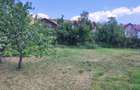 Casa de vanzare Boc?a Montana - 5