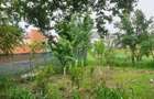 Vila P+1 5 Camere,180Mp ,417Mp Teren. Comuna Berceni IF - 2
