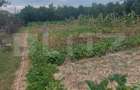 Cabană cu teren de 18 ari, zona Viile Satu Mare - 6