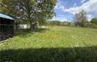 CASA DE VANZRE | 4 CAMERE | 978 MP TEREN | ROSIA | BIHOR | - 5