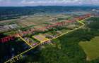 Teren intravilan 9700 m2, com. Baiculesti, Deschidere 60m - 6