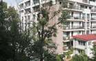 Garsoniera de inchiriat, 36m2, zona Aviatiei - 4