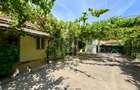 Casa de vanzare-teren 2.300 mp| Ocna Sibiului - 17