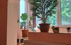 Sud(Al.Pajurei),apartament 2 camere de inchiriat - 12