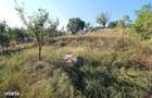 Vand casa D+P in Pestisu Mare, la 4 km de Hunedoara, garaj, anexe... - 9