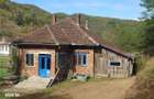 Teren, padure si casa in Dumbrava de Jos, jud. Hunedoara - 4