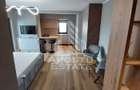 Apartament cu 1 camera, de inchiriat. Dumbravita, Centrala proprie - 6