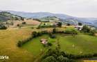 FILM! Cu view panoramic la 360 grade, teren 10.335 mp, Poiana Marului - 15