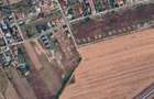 Cobeanca - Ogorului - Loturi 500 - 1100 mp - PRET DE LA 7... - 6