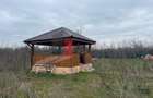 Sangureni, Giurgiu, 0 km de Bucuresti, casa cu teren de 5.000 mp - 7