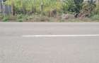 Teren de vanzare 3.000 mp. Negostina, jud.Suceava - 2