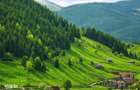 7.000 mp, pozitie spectaculoasa, fara vecini, Fundatica, Brasov - 9