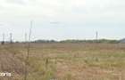 Teren 2500 mp Buftea DN7 - 2