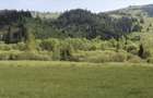 Vatra Dornei, Suceava - 1