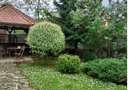 Parc Bazilescu,S+P+1+Pod ,constr 2007,Sutila 340mp, 6 cam, 5 bai, garaj 2 masini - 2