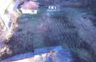 Casa batraneasca + teren 2.000 mp (20 ari) Sesuri, Bacau - 5