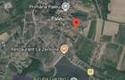 Vand Schimb Rate Teren extravilan intravilan Livada de Bihor - Paleu - Saldabagiu de Munte - 4