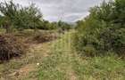 Teren intravilan de vânzare în Daia Nouă – 1.000 mp - 1