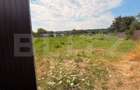 Teren intravilan, 3600 mp, in Bogdanesti, zona Profi - 1