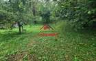 Casa in Campina--59.000 e - 4