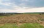 Proprietar, teren constructii+agricol, Albota, 50m DN, 12 KM Pitesti - 3
