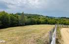 Teren De Vanzare In Zona Purcareti, Jud. Alba. 17800 Mp.