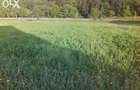 Teren 1381 mp intravilan Cristian jud Brasov - 9