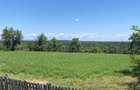 Proprietar, Vand teren intravilan 16600 mp, parcelabil, Comuna Cocu, Arges - 6