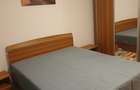 Garsoniera 42 mp | Dream Residence | Parcare | Centrala | AC | Proprietar - 8